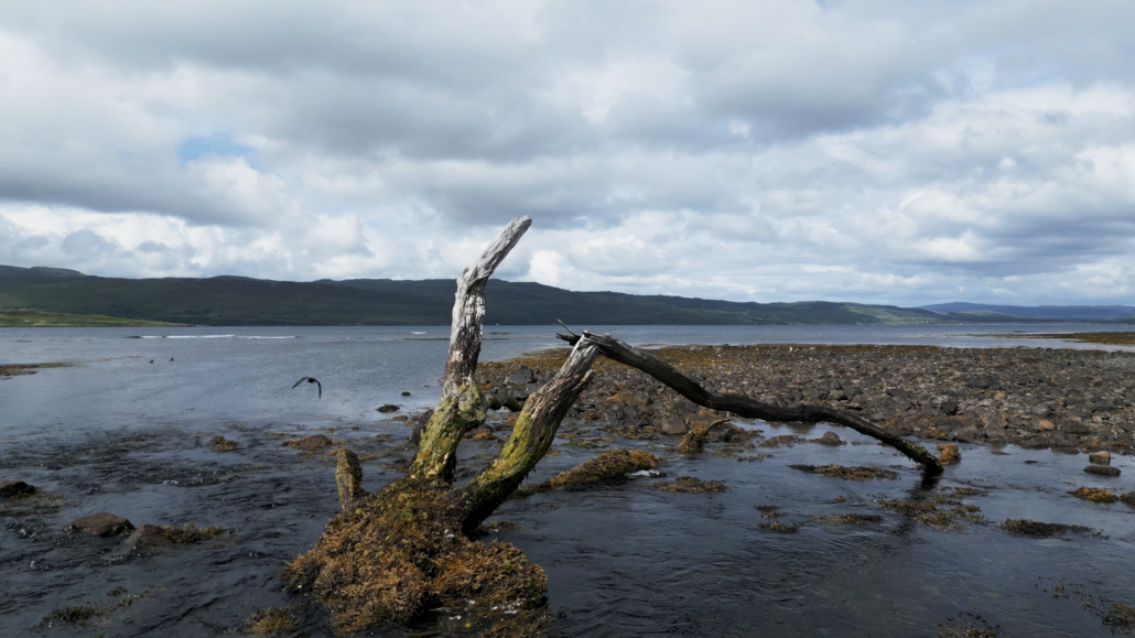 Filmmaking School on Mull