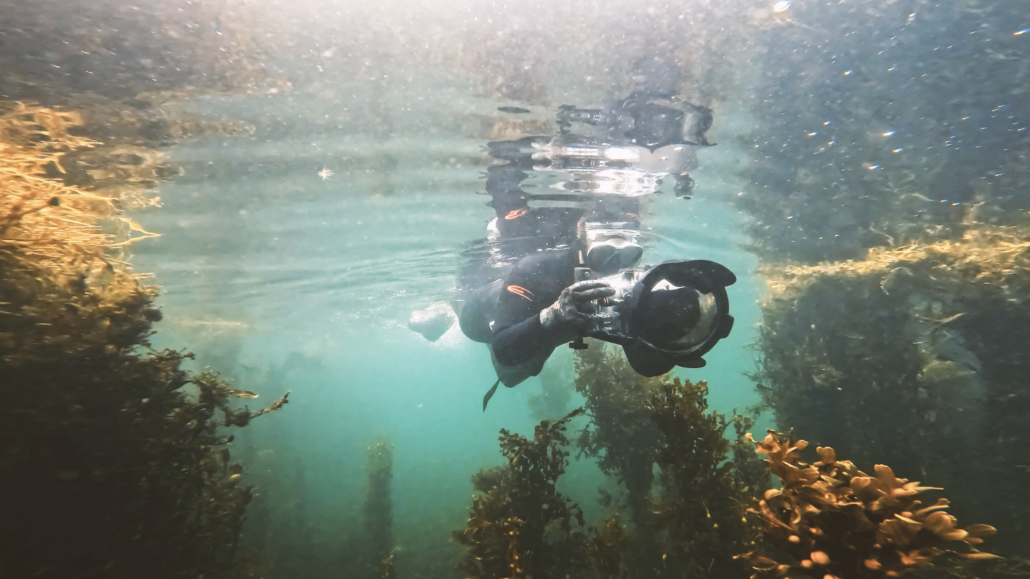 underwater filmmaking on the Isle of Mull